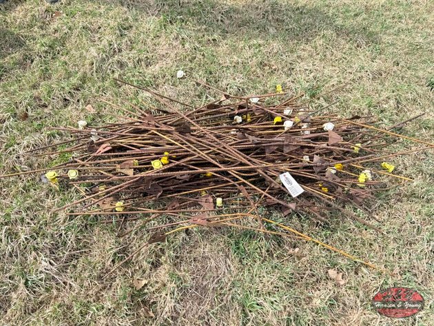 Image for Pile of Electric Fence Posts