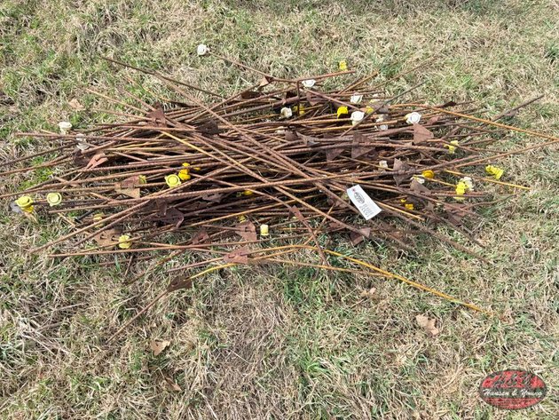 Image for Pile of Electric Fence Posts