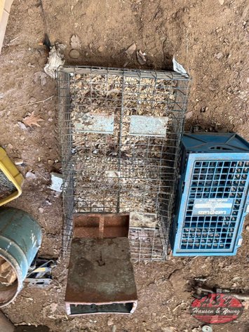 Image for Small Animal Cages