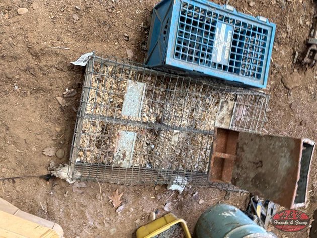 Image for Small Animal Cages
