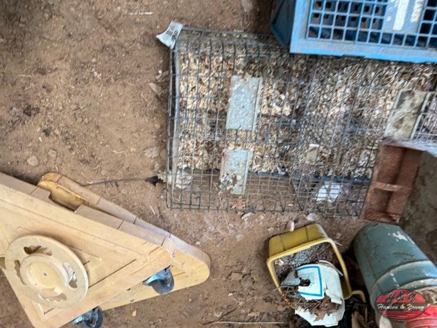 Image for Small Animal Cages