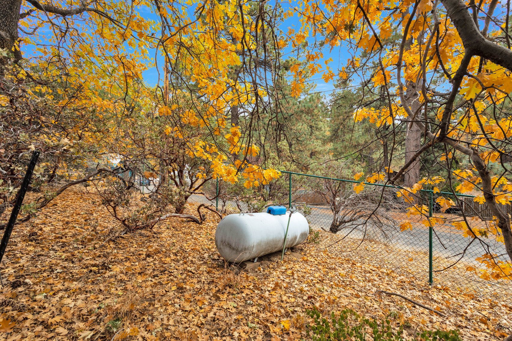 Image for Idyllwild Mountain Retreat