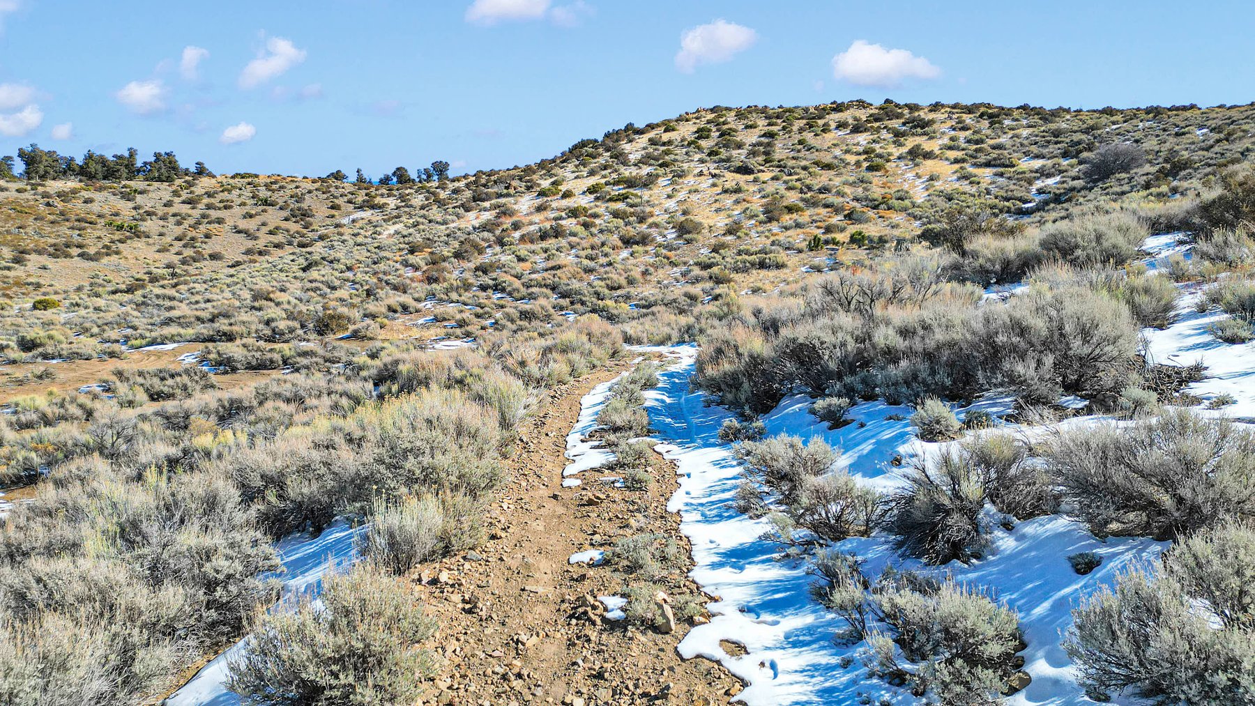 Image for Three Parcels by Baldwin Lake