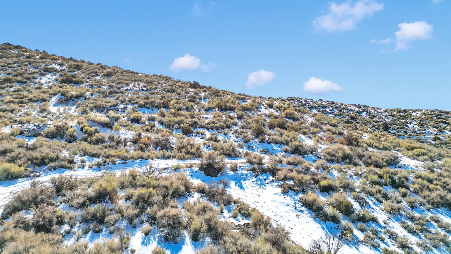 Image for Three Parcels by Baldwin Lake