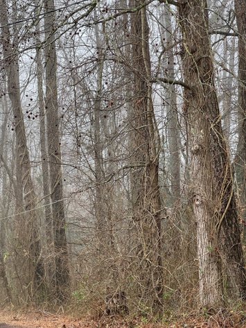 Image for County of Sussex VA Sale of Tax Delinquent Real Estate