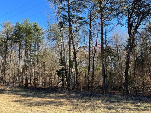 Image for Cumberland County, VA Sale of Tax Delinquent Real Estate