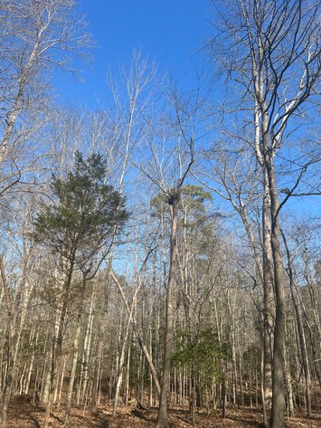 Image for James City County, VA Sale of Tax Delinquent Real Estate