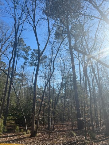 Image for James City County, VA Sale of Tax Delinquent Real Estate