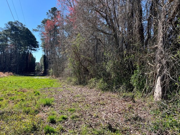 Image for Mathews County, VA Sale of Tax Delinquent Real Estate