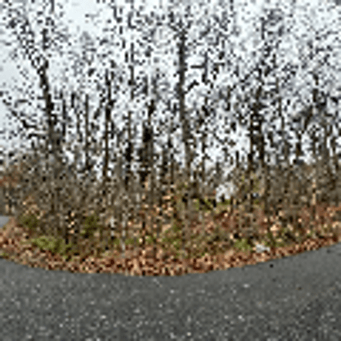 Image for Spotsylvania County, VA Sale of Tax Delinquent Real Estate
