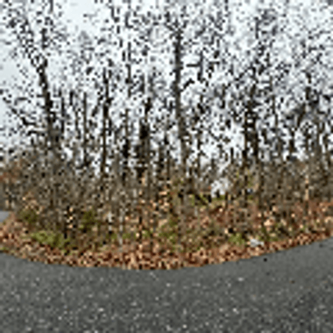 Image for Spotsylvania County, VA Sale of Tax Delinquent Real Estate