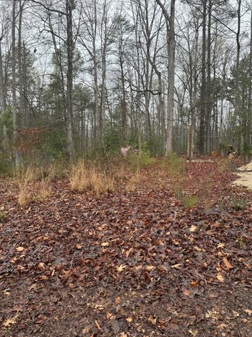 Image for Spotsylvania County, VA Sale of Tax Delinquent Real Estate