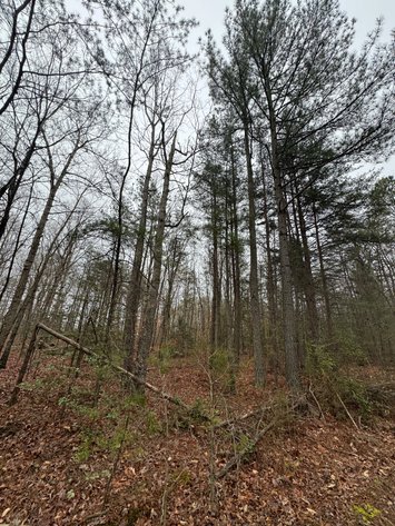 Image for Spotsylvania County, VA Sale of Tax Delinquent Real Estate