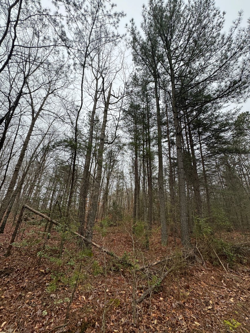 Image for Spotsylvania County, VA Sale of Tax Delinquent Real Estate