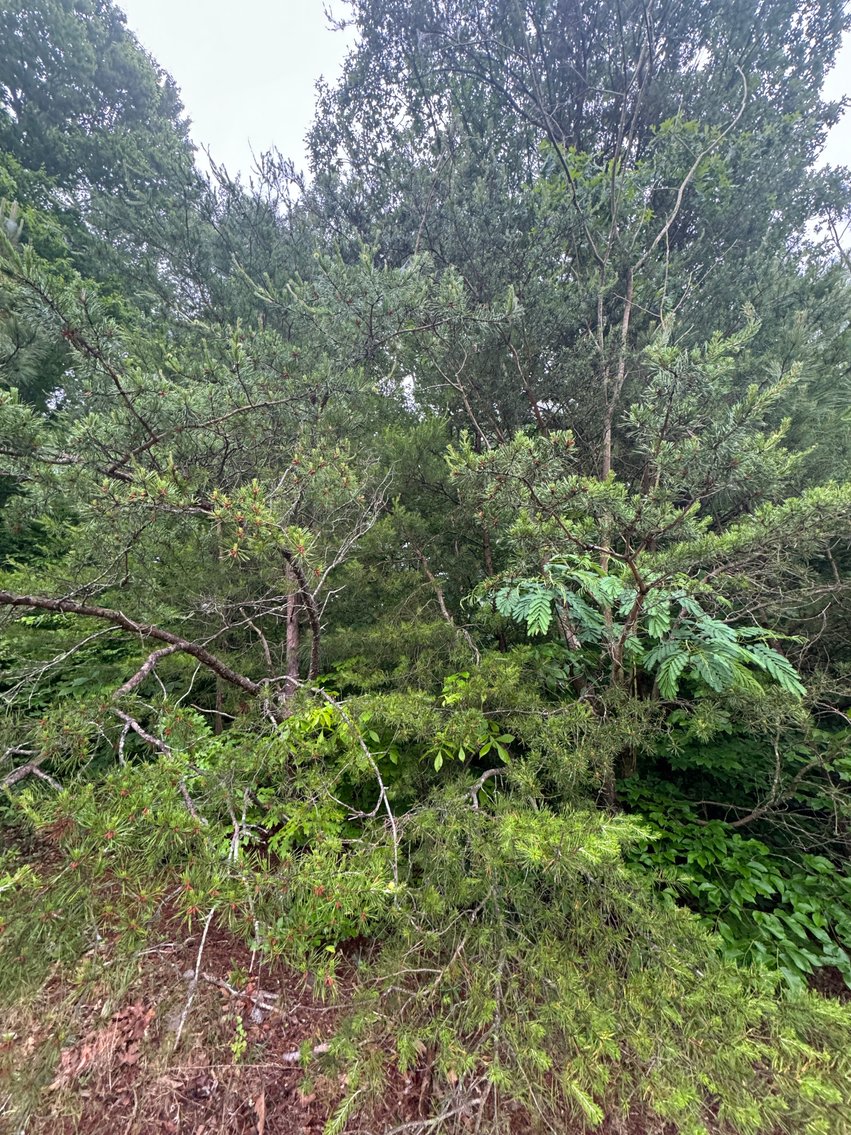 Image for City Of Hopewell, VA Sale of Tax Delinquent Real Estate