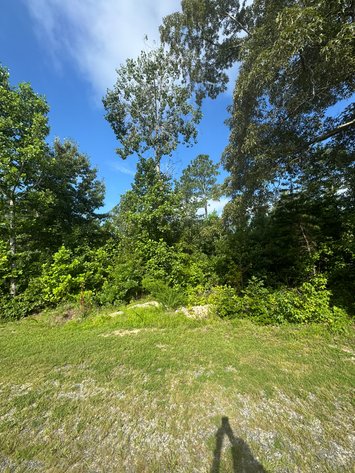 Image for Essex County, VA Sale of Tax Delinquent Real Estate