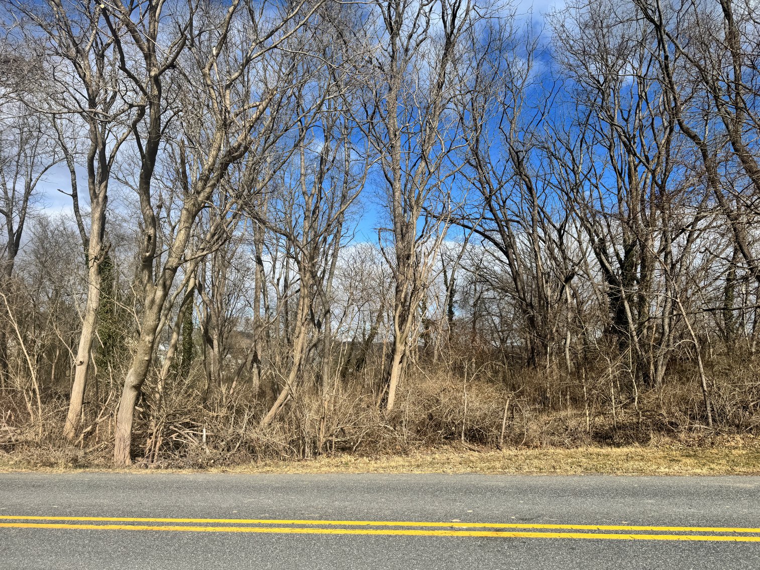 Image for Rockbridge County Tax Delinquent Sale