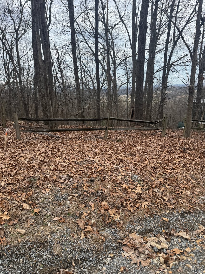 Image for Clarke County, VA Sale of Tax Delinquent Real Estate
