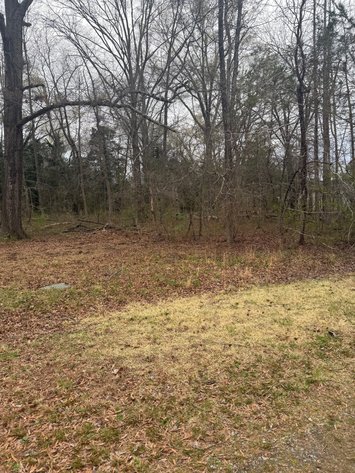 Image for Spotsylvania Tax Delinquent Sale