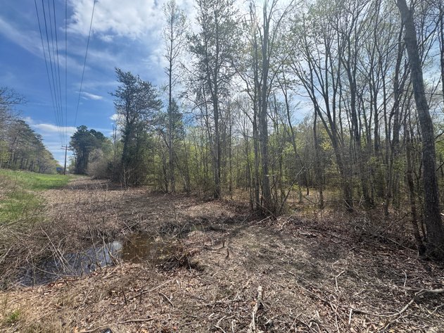 Image for Louisa County Tax Delinquent Sale