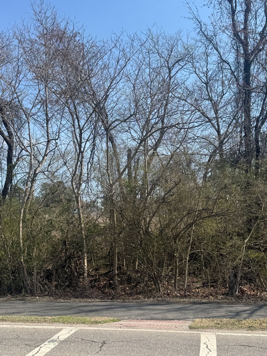 Image for King William Tax Delinquent Sale