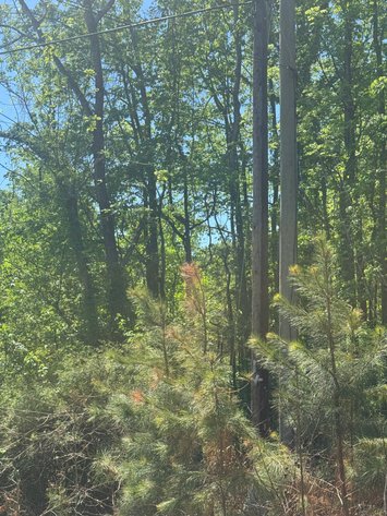 Image for King George County, VA Sale of Tax Delinquent Real Estate