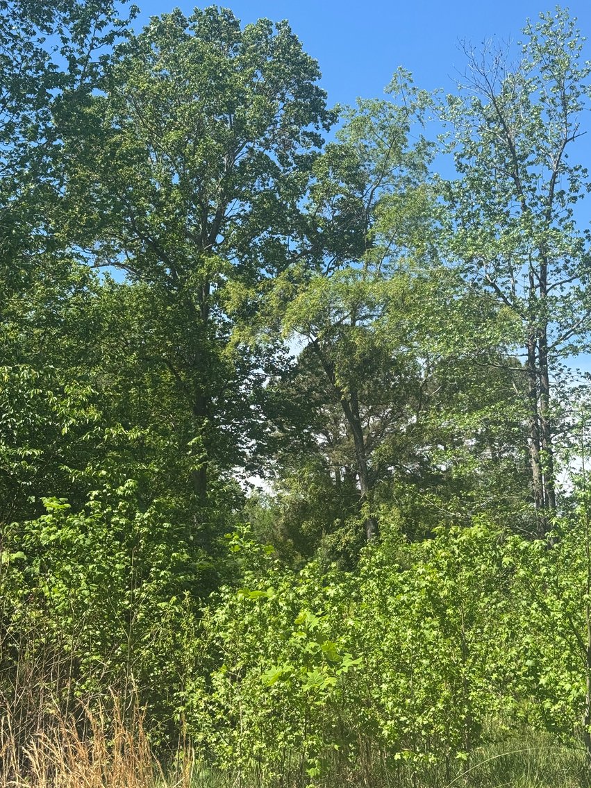 Image for King George County, VA Sale of Tax Delinquent Real Estate