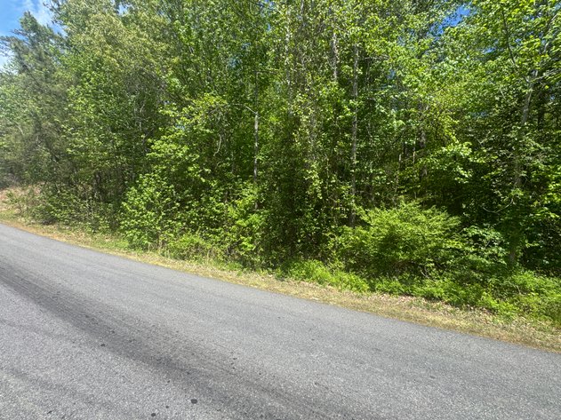 Image for King George County, VA Sale of Tax Delinquent Real Estate