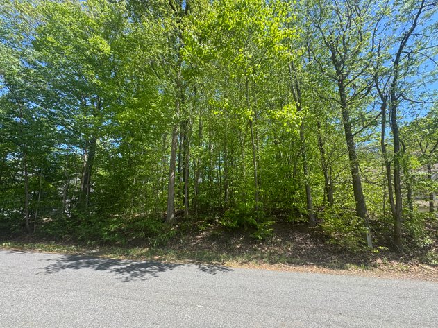 Image for King George County, VA Sale of Tax Delinquent Real Estate