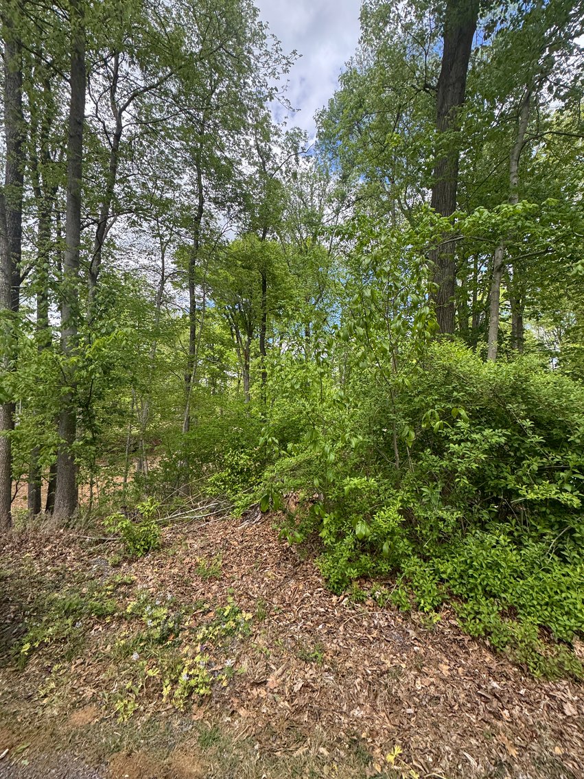 Image for Warren County, VA Sale of Tax Delinquent Real Estate