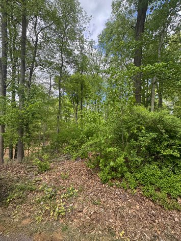 Image for Warren County, VA Sale of Tax Delinquent Real Estate