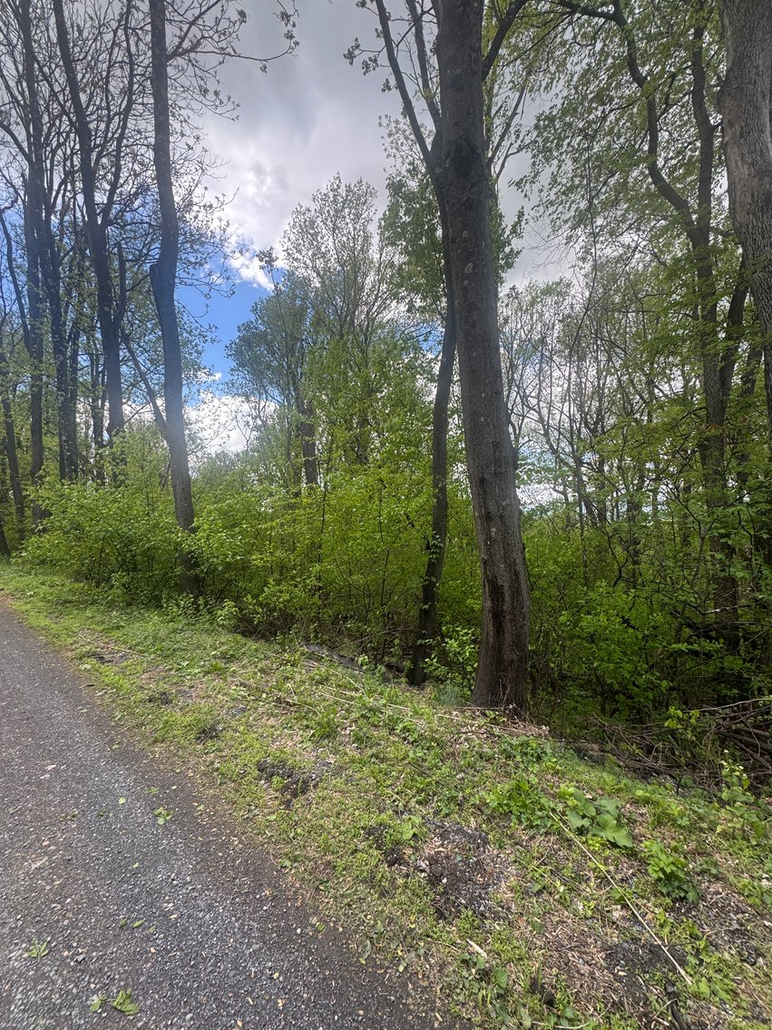 Image for Warren County, VA Sale of Tax Delinquent Real Estate