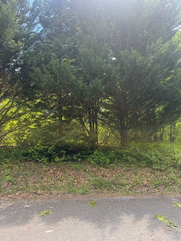 Image for Warren County, VA Sale of Tax Delinquent Real Estate