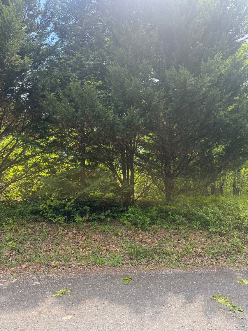 Image for Warren County, VA Sale of Tax Delinquent Real Estate