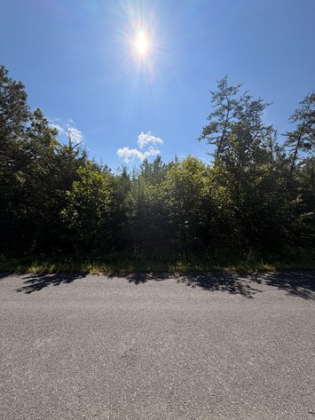 Image for Prince Edward County Tax Delinquent Sale