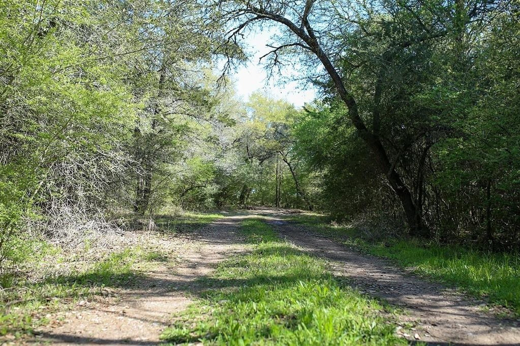 Image for Ullrich Rd Real Estate Auction