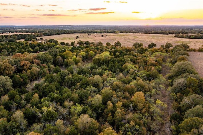 Image for 17 Acres - Grassyville Rd, Paige, TX