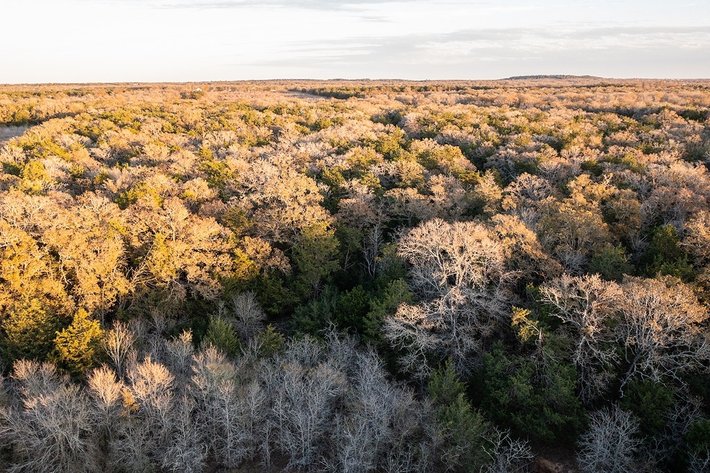 Image for 21 +- Acres, Grassyville, Paige, TX