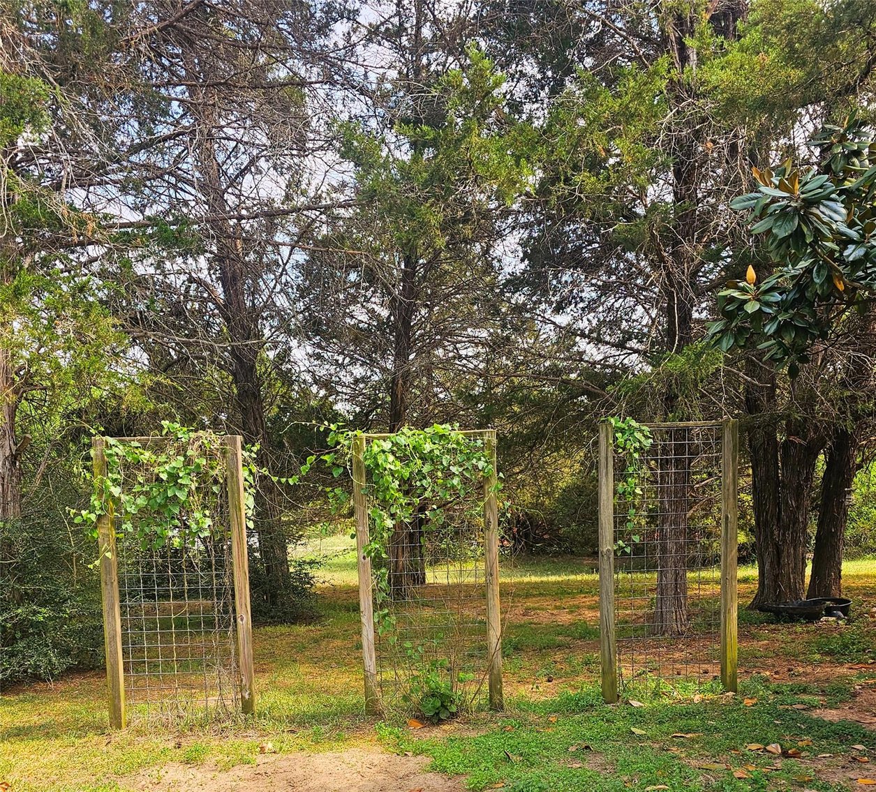 Image for 417 Hidden Oaks, Elgin TX