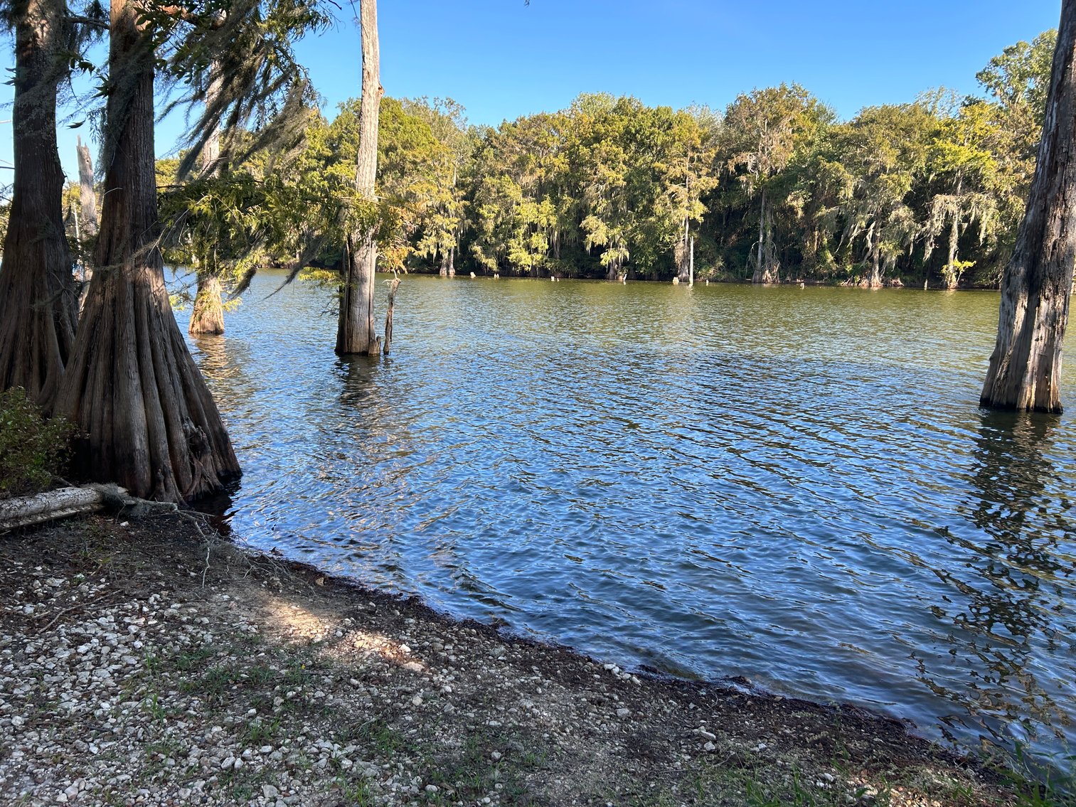 Image for Cypress Lakes Circle, Cleveland, TX Real Estate Online Auction