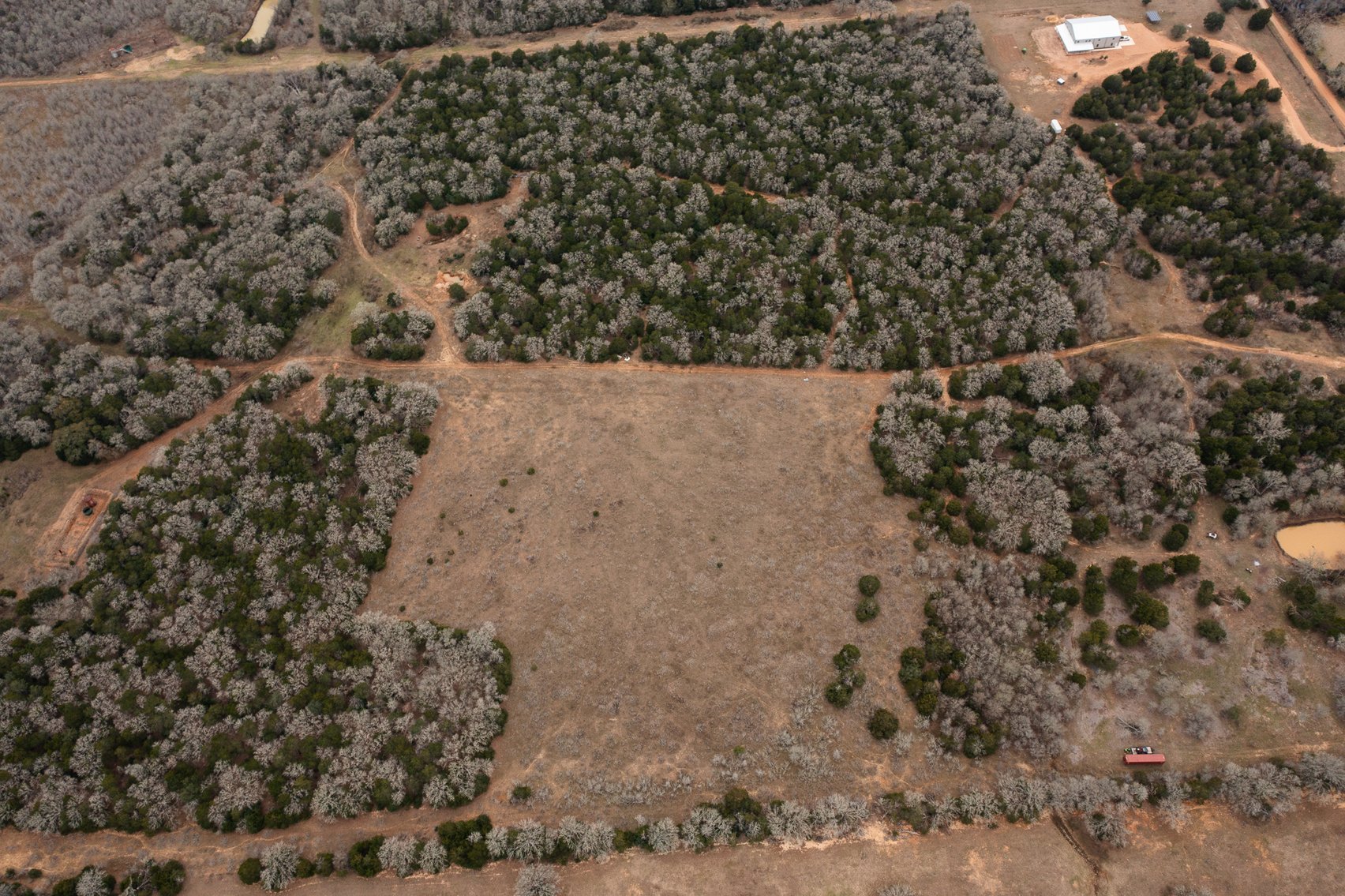 Image for 17 Acres - Grassyville Rd, Paige, TX