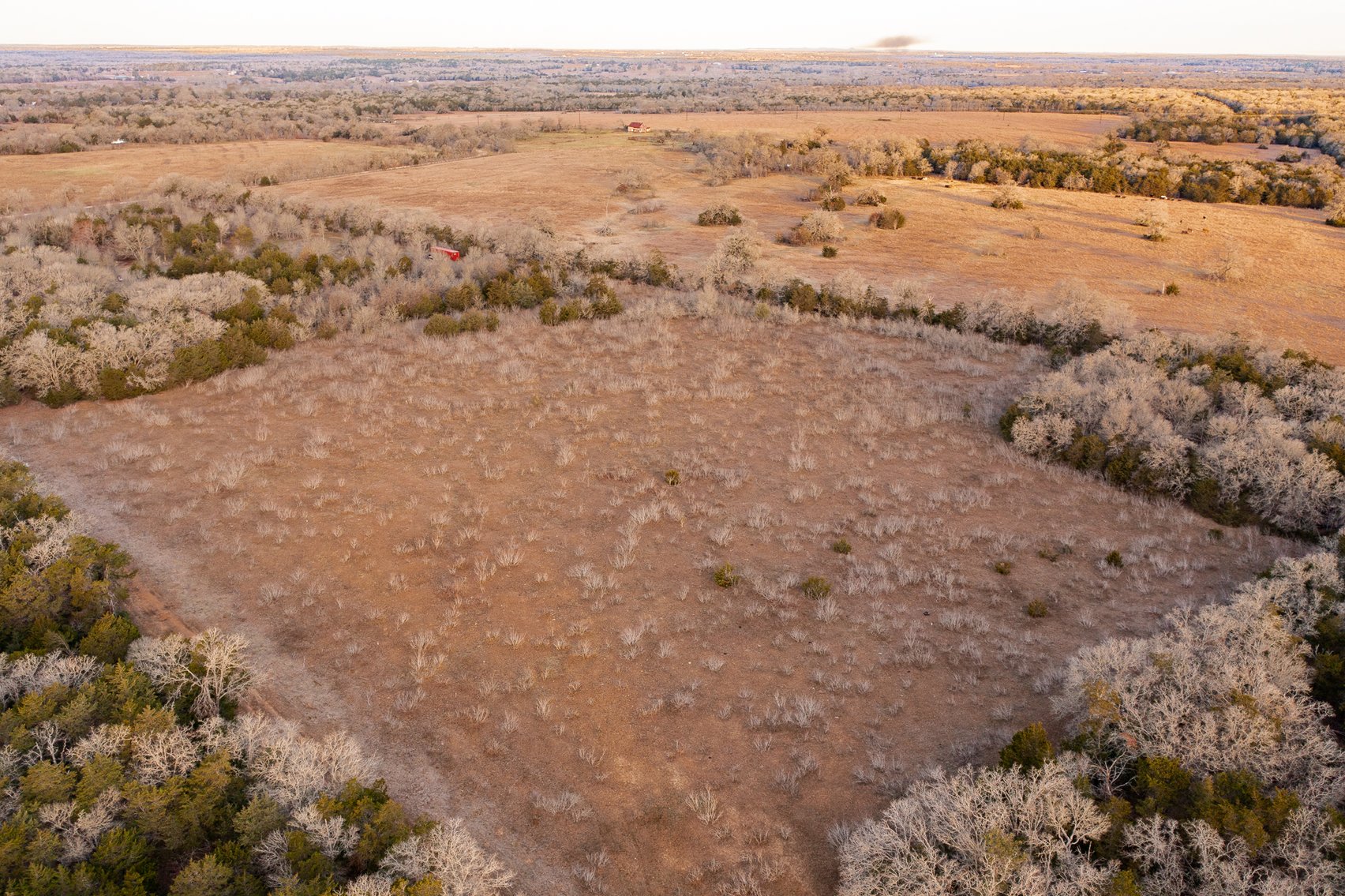 Image for 17 Acres - Grassyville Rd, Paige, TX