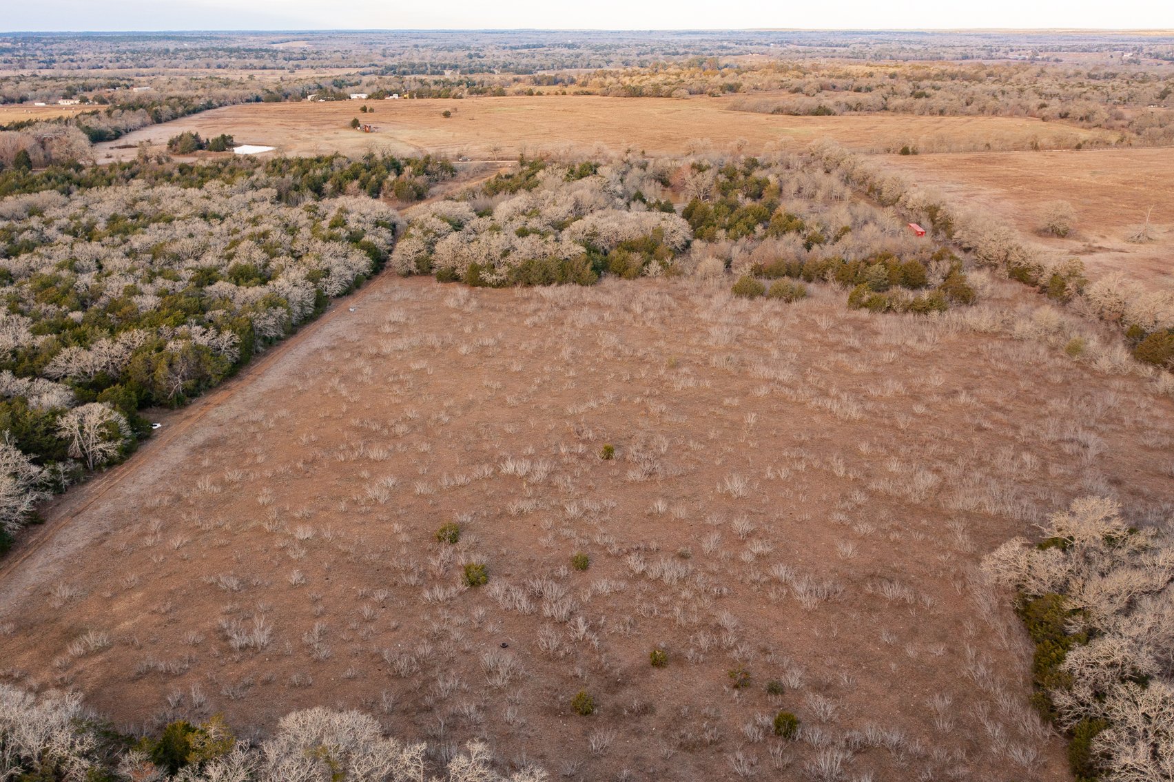 Image for 17 Acres - Grassyville Rd, Paige, TX