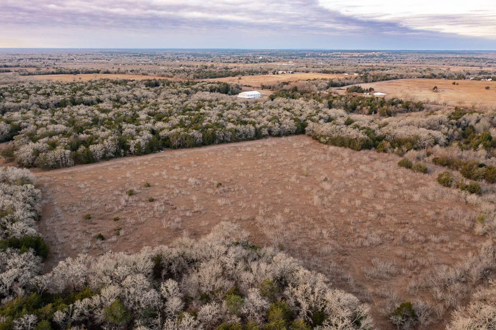 Image for 17 Acres - Grassyville Rd, Paige, TX