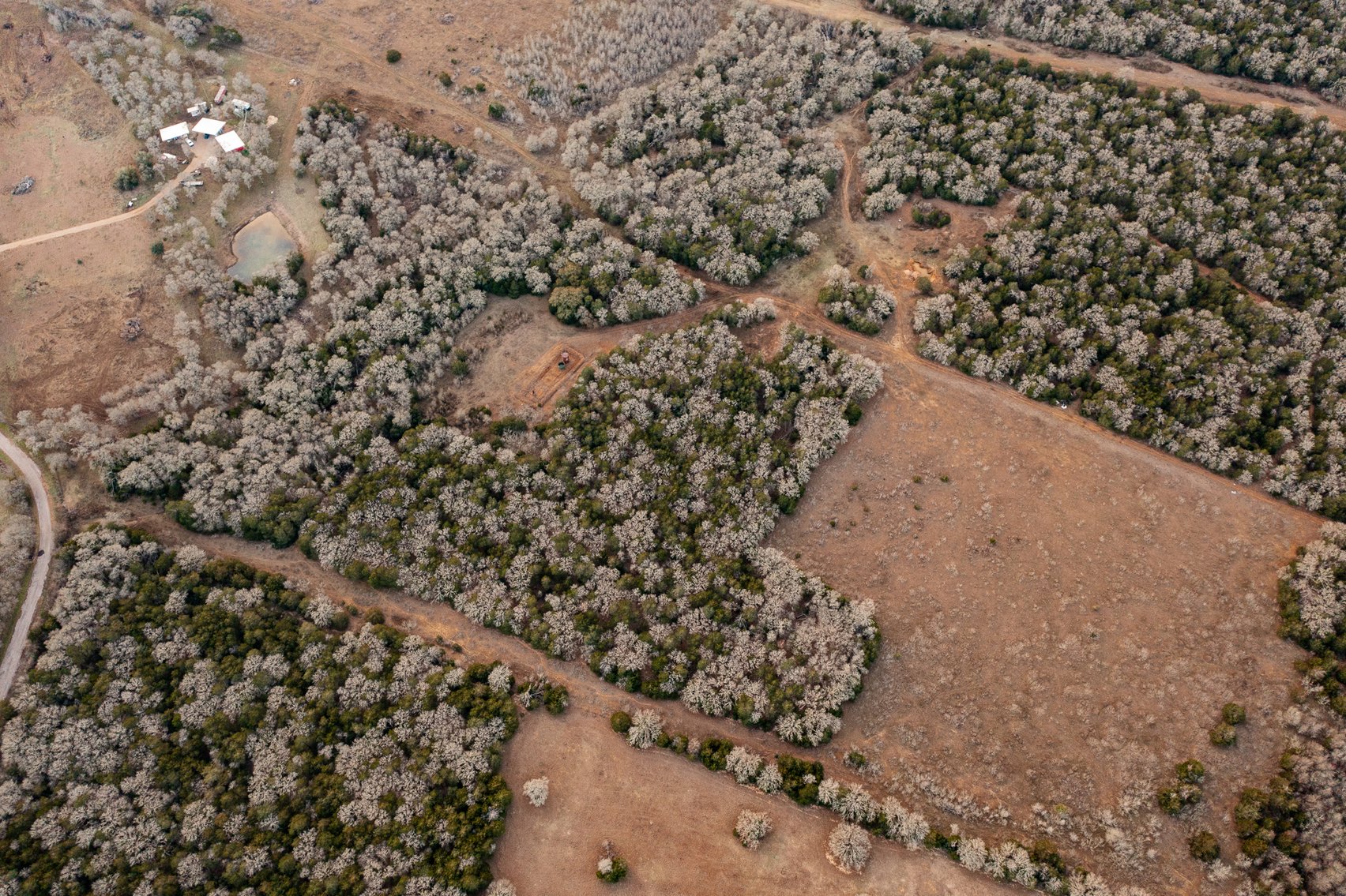 Image for 17 Acres - Grassyville Rd, Paige, TX