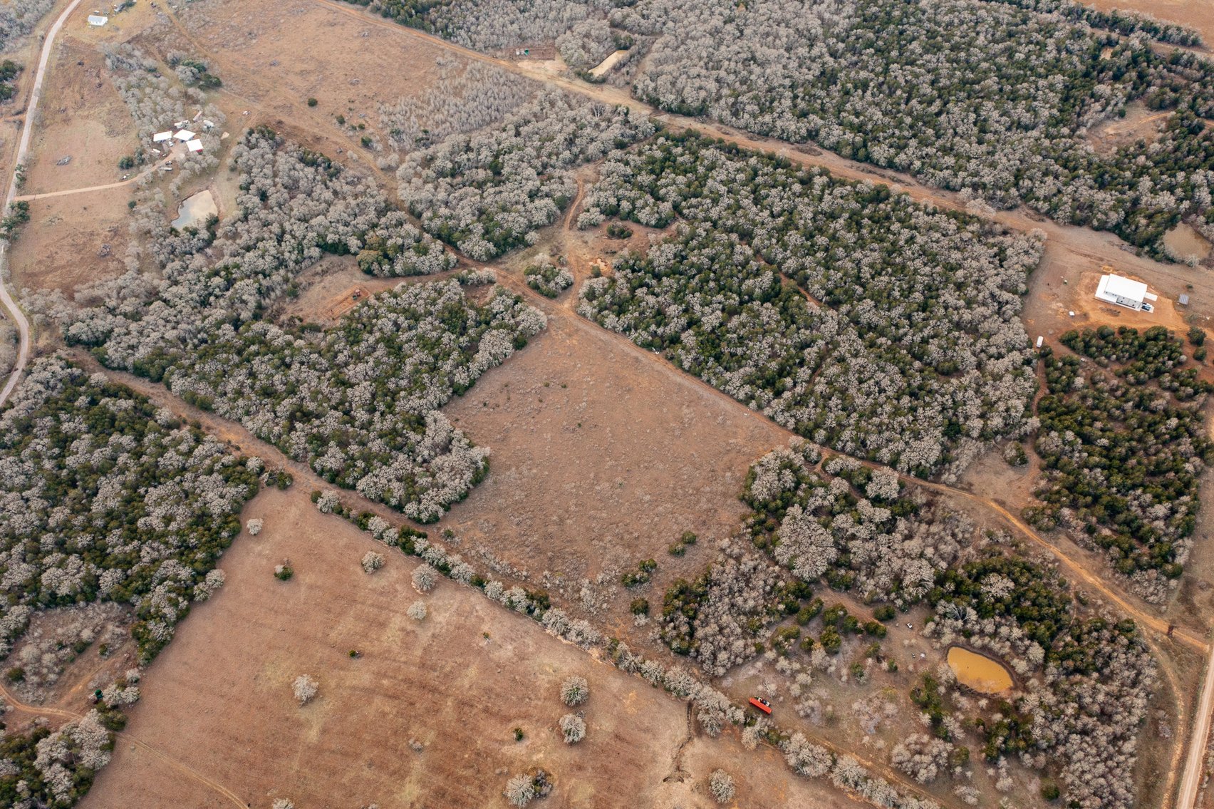 Image for 17 Acres - Grassyville Rd, Paige, TX