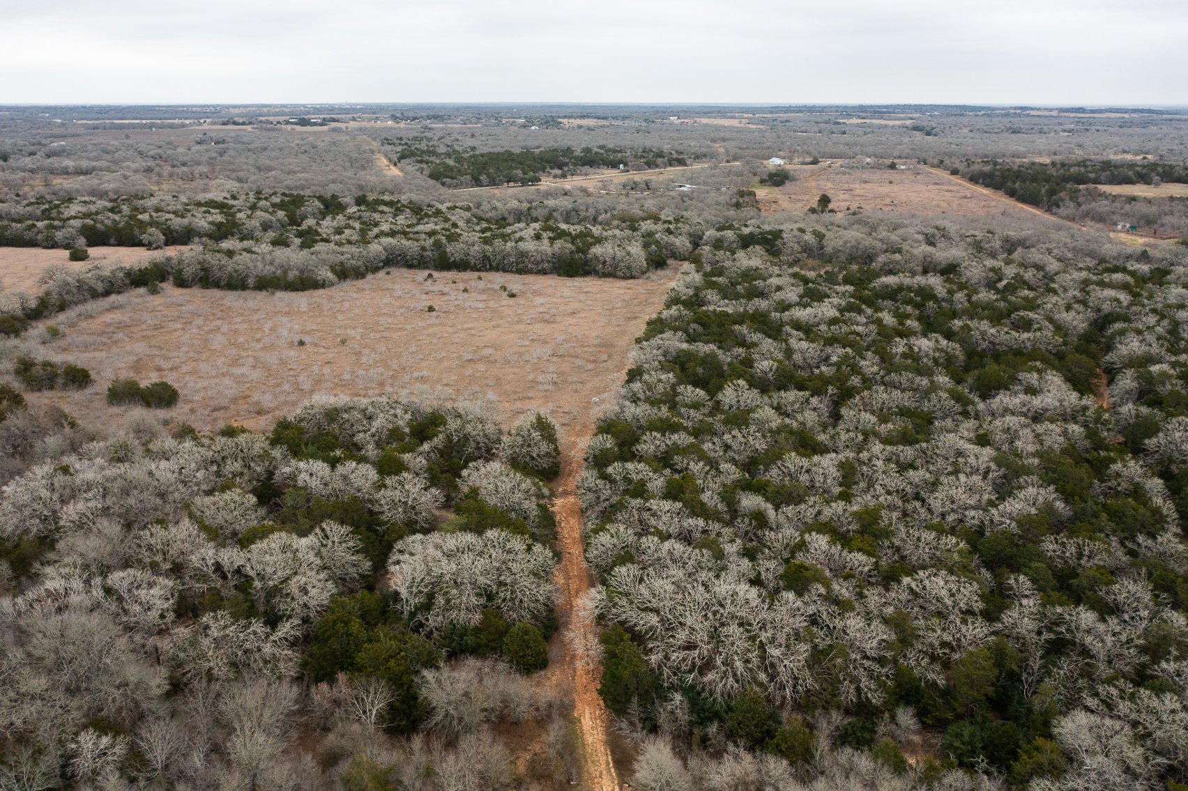 Image for 17 Acres - Grassyville Rd, Paige, TX