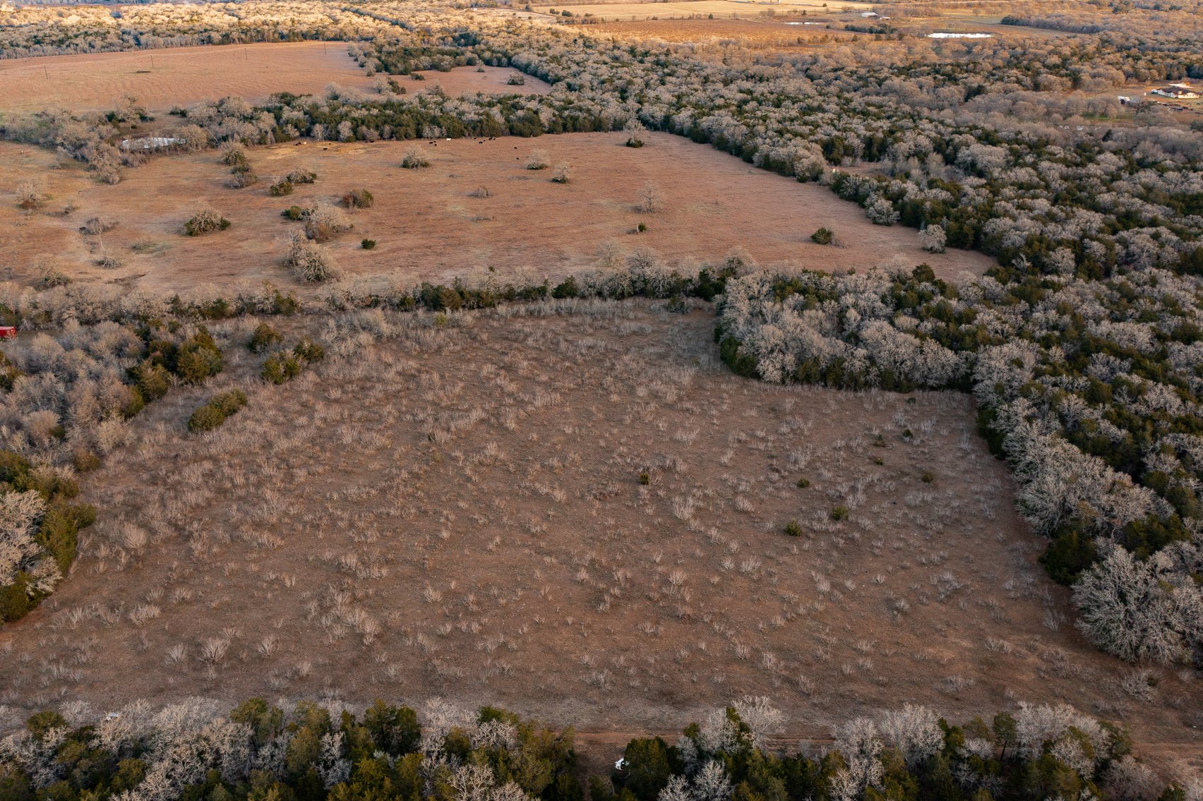 Image for 17 Acres - Grassyville Rd, Paige, TX