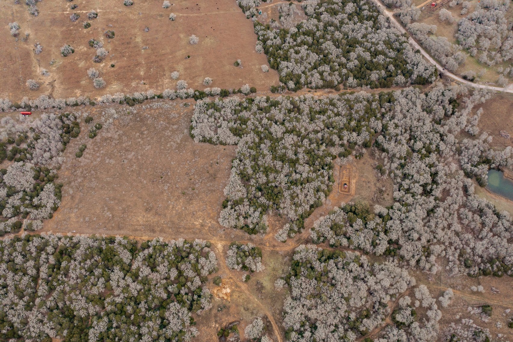 Image for 17 Acres - Grassyville Rd, Paige, TX