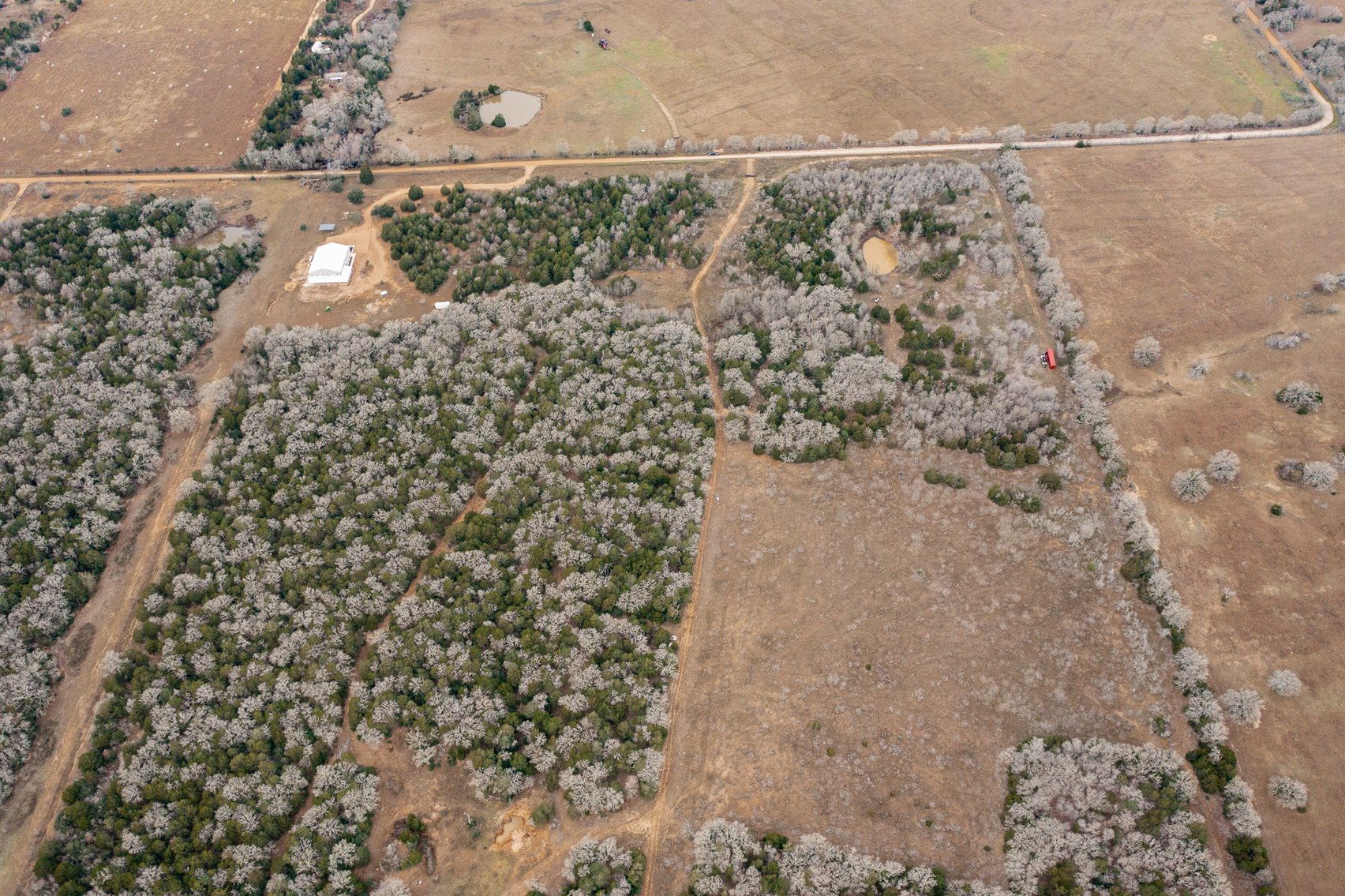 Image for 17 Acres - Grassyville Rd, Paige, TX